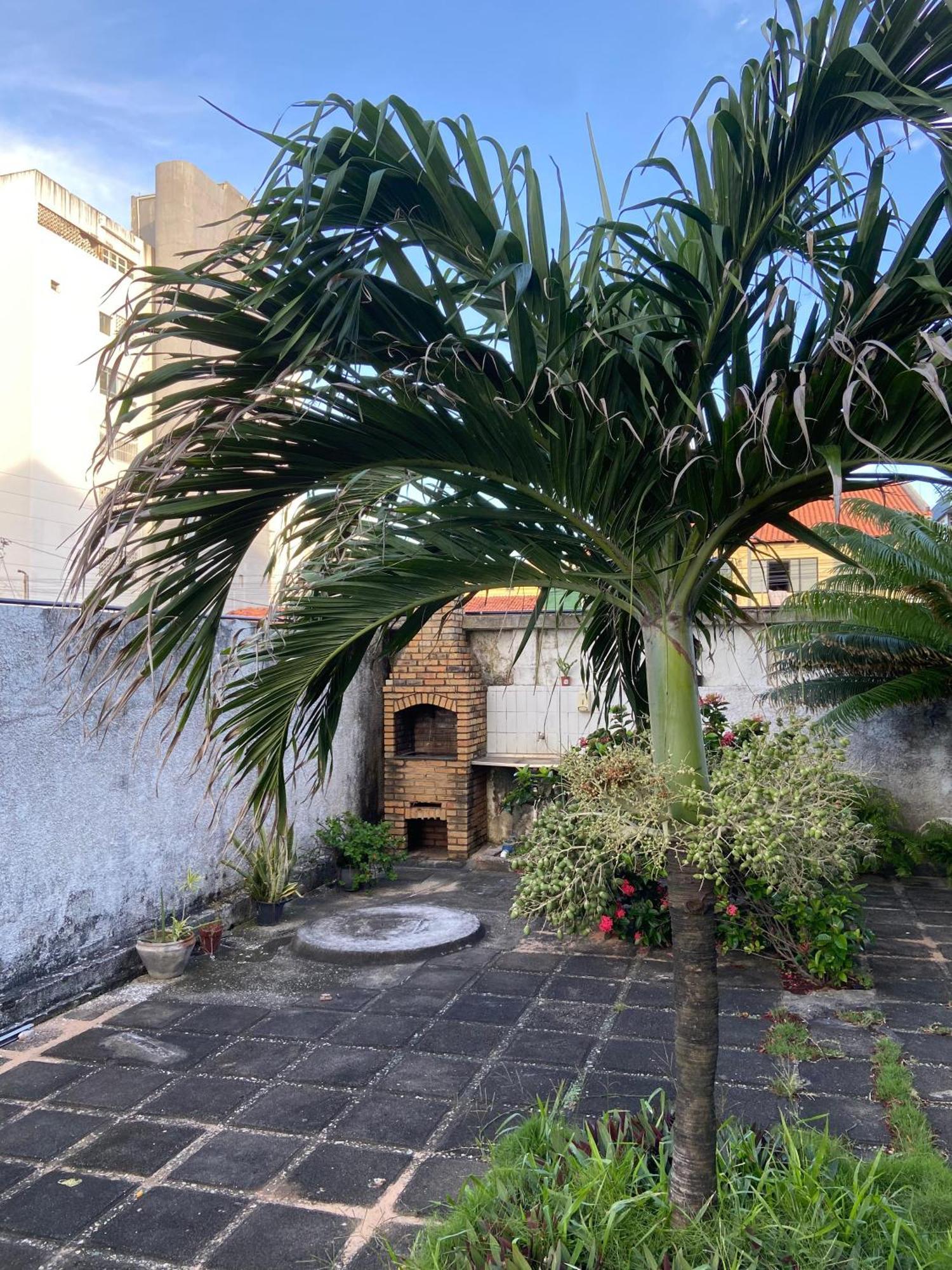 Apto Exclusivo, 200M Da Praia, Horario Flexivel 24 Horas Fortaleza  Exterior photo